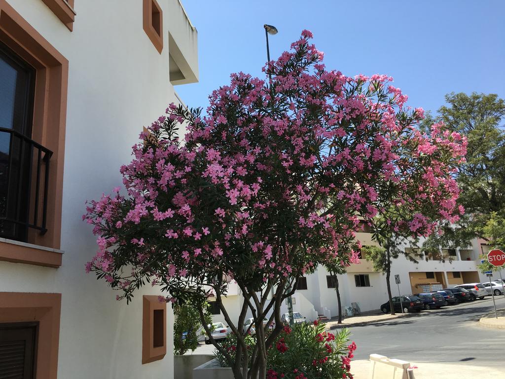 Appartement Lovely Beach Bellavista